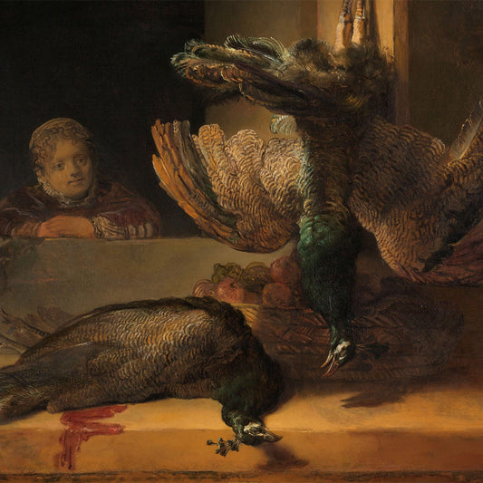 Rembrandt Pauwen