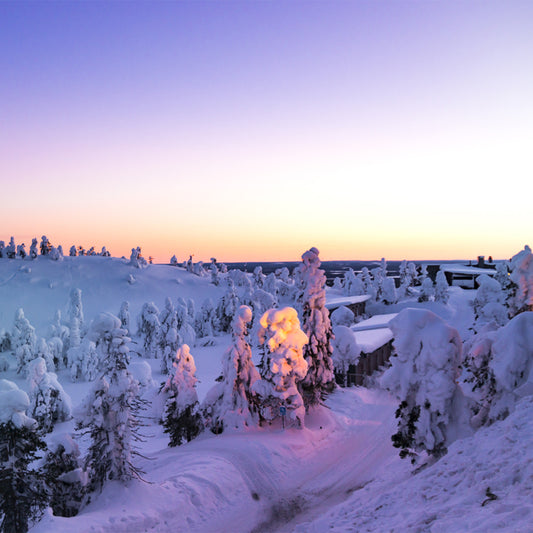 Snowy Sunset